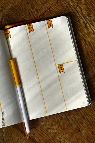 examples of weekly logs for the bullet journal