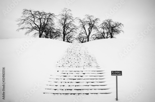 Canvas Print snow stockholm