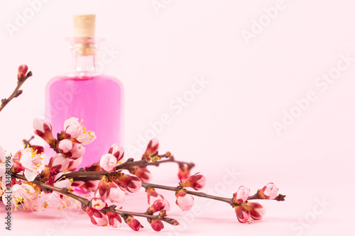 Perfume bottle and a branch of blooming apricots on a pink background