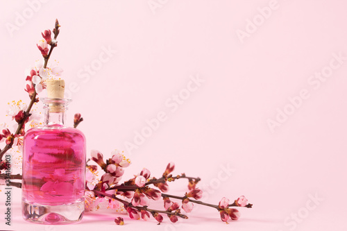 Perfume bottle and a branch of blooming apricots on a pink background