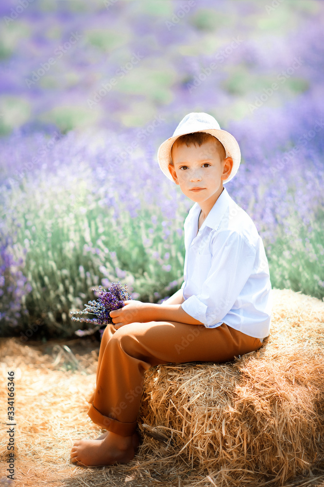 Vertical portrait of 6 years old boy in white shirt, white hat and brown trouters sitting on straw in lavender field in hot summer day. Childhood close to nature. Typical provencal landscape. Vertical portrait of 6 years old boy in white shirt, white hat and brown trouters sitting on straw in lavender field in hot summer day. Childhood close to nature. Typical provencal landscape.