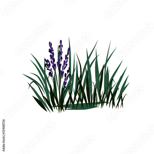 bush with grass and lavender