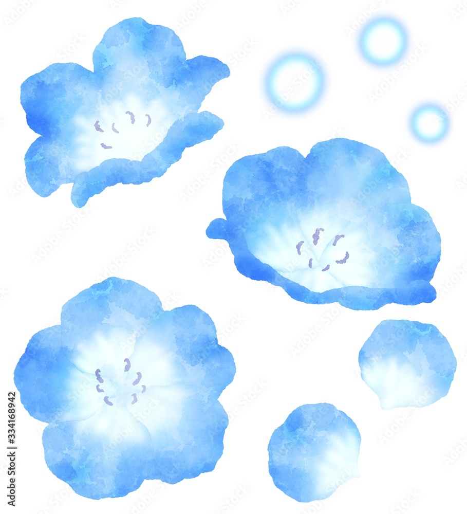 青い花のイラスト ネモフィラ 水彩風 青い花のイラスト ネモフィラ 水彩風