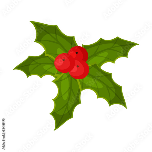 Holly Berry Mistletoe Plant, Christmas and New Year Symbol, Traditional Holiday Decoration Vector Illustration