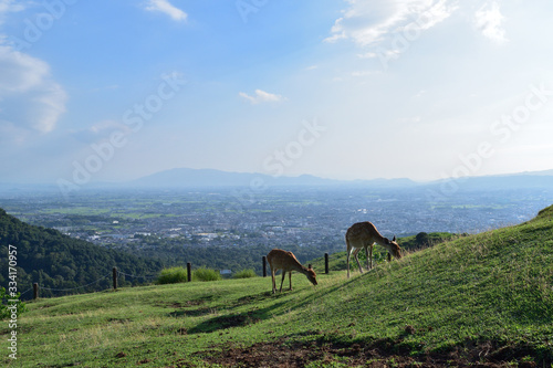 Foto View of Nara Basin from Mt.Wakakusa