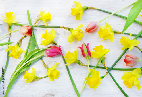 Fototapeta Naklejka Na Ścianę i Meble -  Easter card with tulips and daffodils