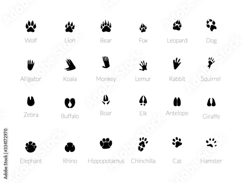 Various traces of predators. 
