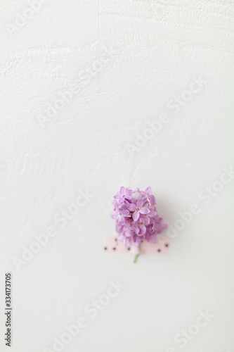 Fototapeta Naklejka Na Ścianę i Meble -  Lilac flowers mock up on white textured background. Violet flowers branch taped to the wall. Vertical orientation template
