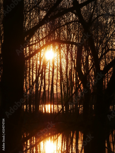 Lake at sunset, on a background of trees. Reflection of nature in the lake. Diamond Lake Kiev, Ukraine.