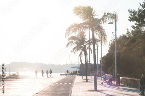 Portugal. Europe. Walking path in the promenade. The alley with palm trees and walking people.