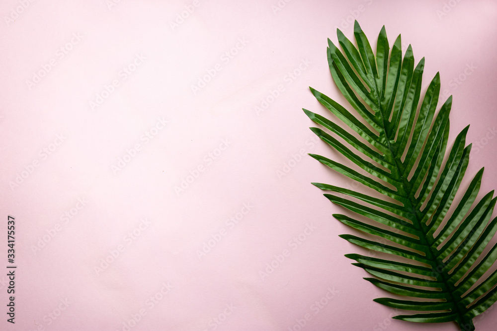 Tropical palm leaves on pink background. Flat lay, top view