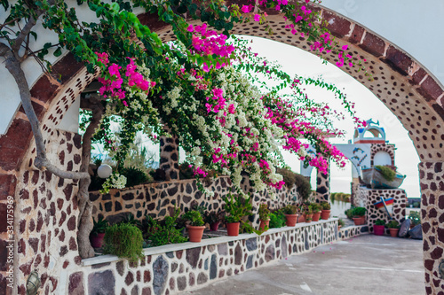 Fototapeta Naklejka Na Ścianę i Meble -  Traditional architecture in Akrotiri village on Santorini island, Greece. Cafe with bougainvillea flowers. Greek culture