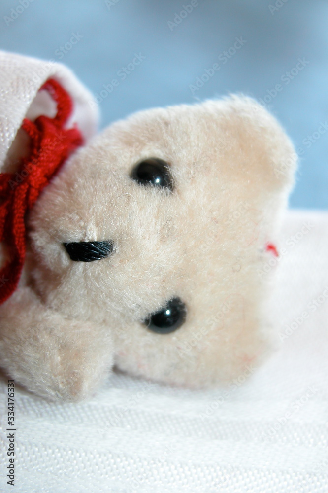Good morning little bear Good morning little bear