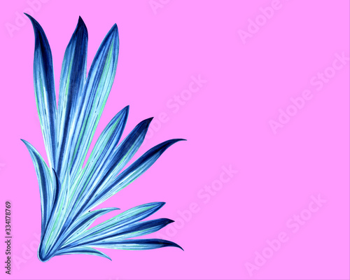 Pink, tropical banner with space for your text, contrasting color combination. Illustration drawn with a marker. Use as a product label, postcard, frame and poster in the interior.