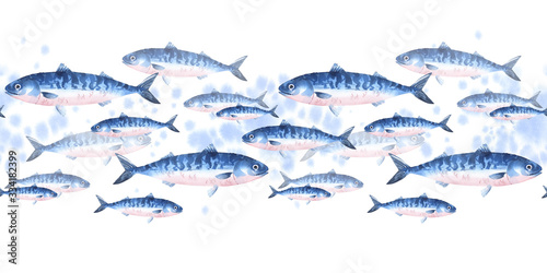 Seamless pattern of school of atlantic mackerel, scomber. Watercolor illustration of fishes border on white background