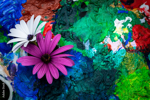 deux fleurs, violette et blanche au milieu de tâche multicolores