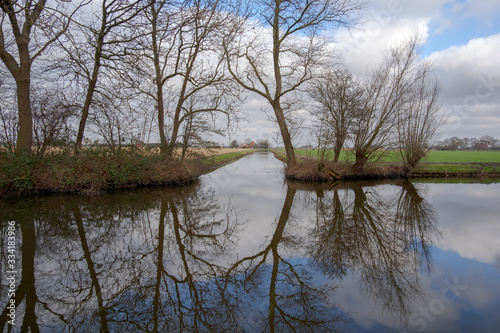 Fototapeta Naklejka Na Ścianę i Meble -  Bare trees that are reflected in a pond and a ditch in a meadow landscape