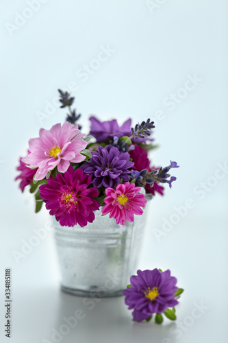 Bouquet of asters in a small bucket