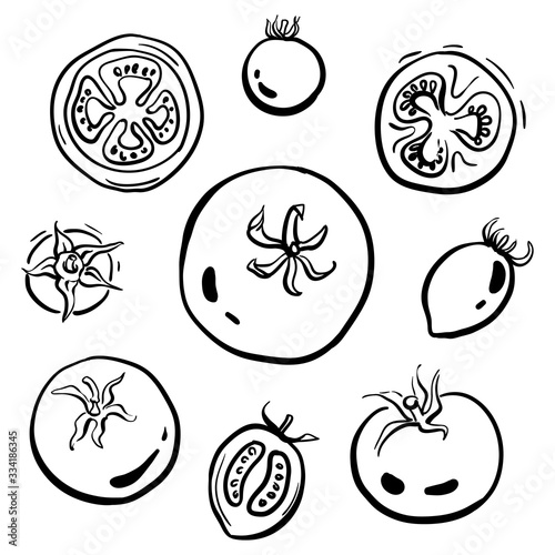 Tomatoes and cherry tomatoes whole and sliced topview. Black line sketch of vegetables isolated on white background. Doodle hand drawn vegetables. Vector illustration