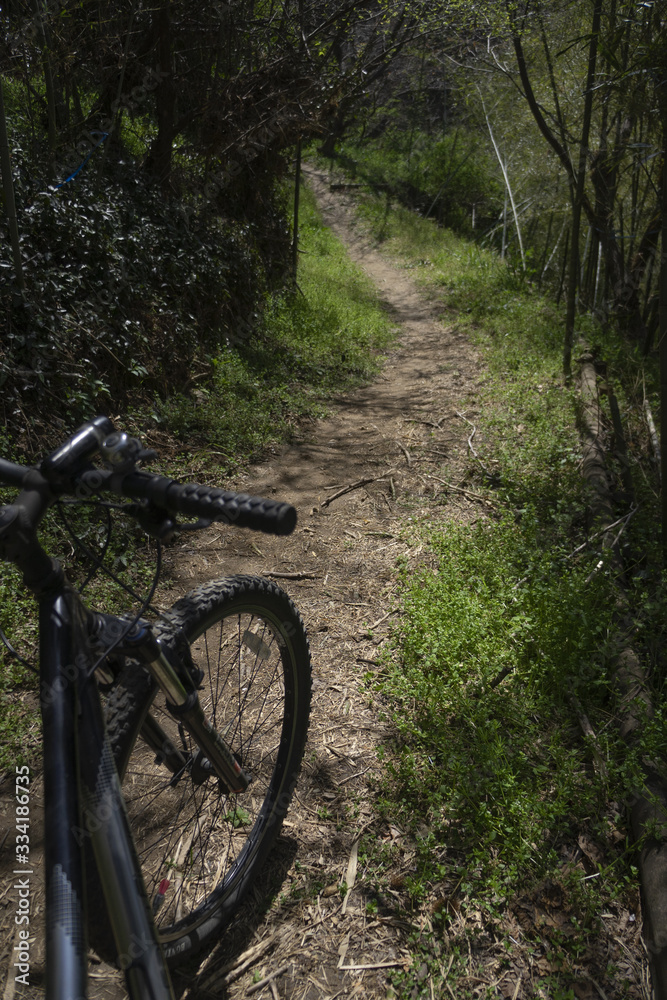 Fototapeta premium 산속 자전거 여행