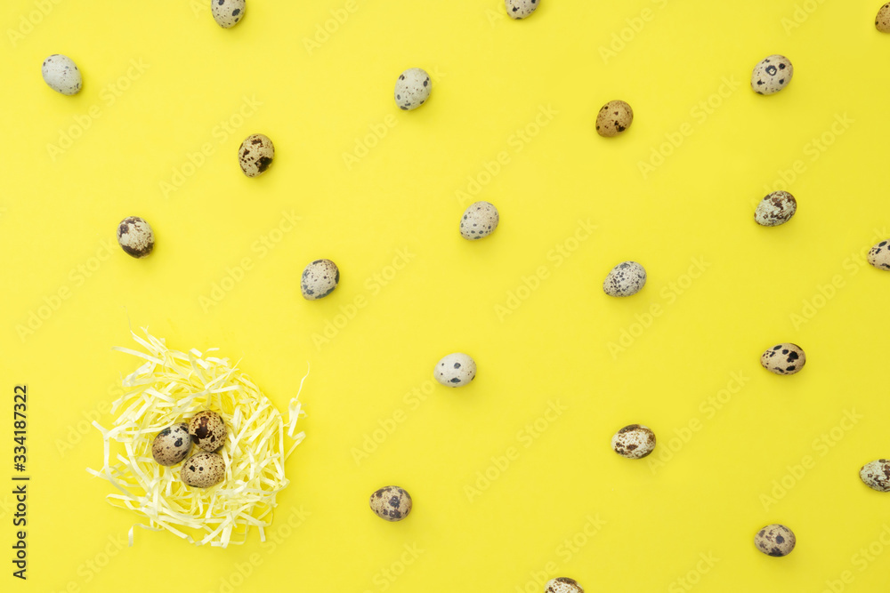 Quail eggs in and around the nest