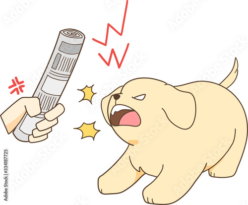 ゴールデンレトリバーの子犬（丸めた新聞で怒られて反抗する）