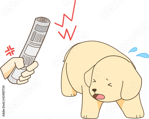 ゴールデンレトリバーの子犬（丸めた新聞で怒られて怖がる）