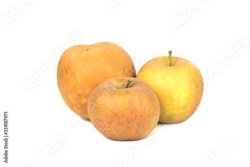 Tableau sur toile Grey hard Reinette Apple - Renetta, Rennet