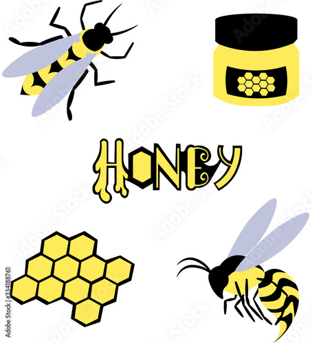 Bee and wasp. Honey, propolis and honeycombs. Food, medicine and cosmetology.