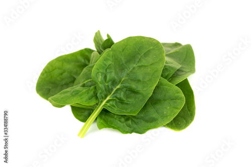 fresh young baby spinach leaves
