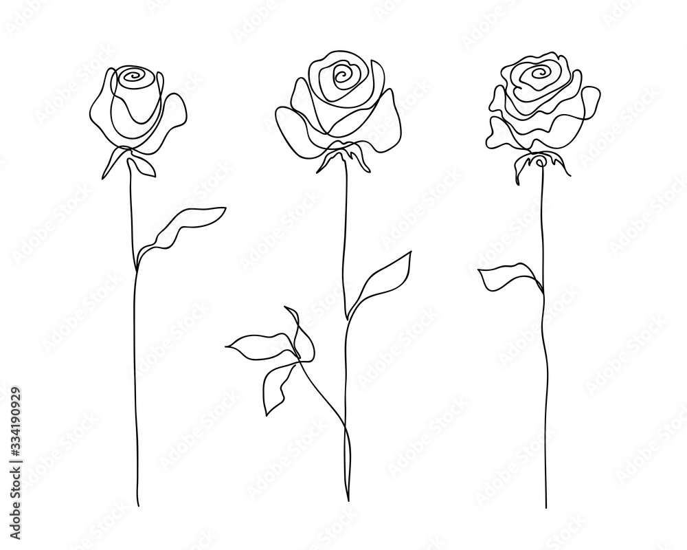 Fototapeta Zestaw kwiatów róży. Ciągłe rysowanie. Projekt koncepcyjny sztuki linii. Stylowy nowoczesny wzór trendu do dekoracji zaproszenia, banera