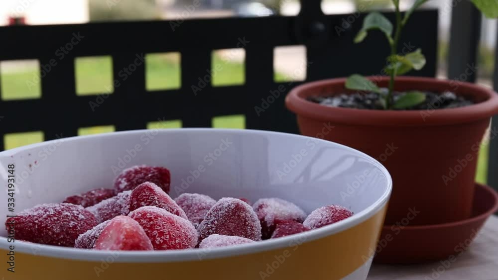 Thawing of frozen crystals on strawberries in a bowl on a table on a balcony timelapse Thawing of frozen crystals on strawberries in a bowl on a table on a balcony timelapse