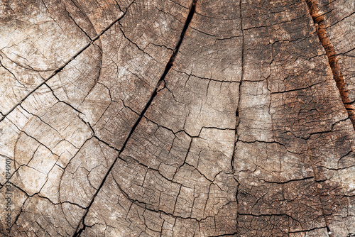 Tree stump background. Brown cracked and cut Wooden texture pattern background.