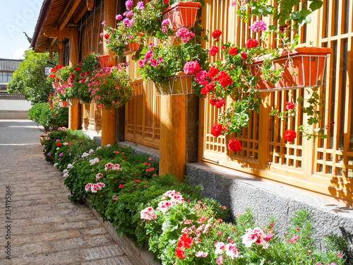 Little garden full of colorful flowers