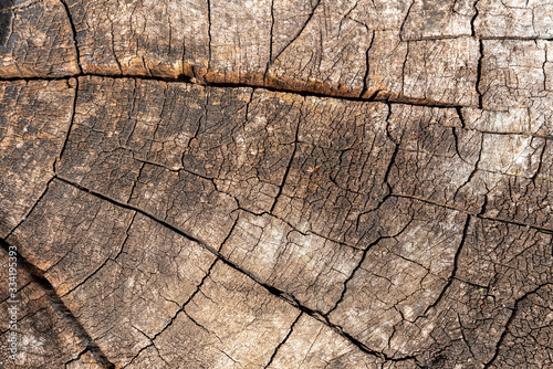 Tree stump background. Brown cracked and cut Wooden texture pattern background.