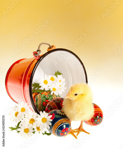 Easter eggs and chick photo