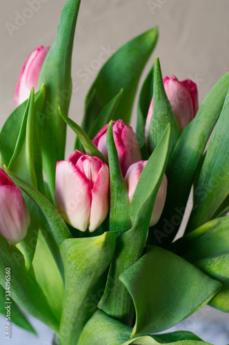 close-up of bouquet of bright tulips on concrete grey wall background