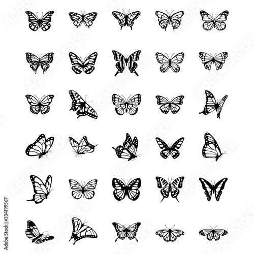  Butterfly Solid Vector Icons Set photo