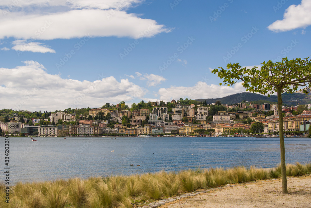 View of the lake and the city of Lugano, Switzerland on a sunny summer day. Beautiful cityscape, green tree on the right frame.