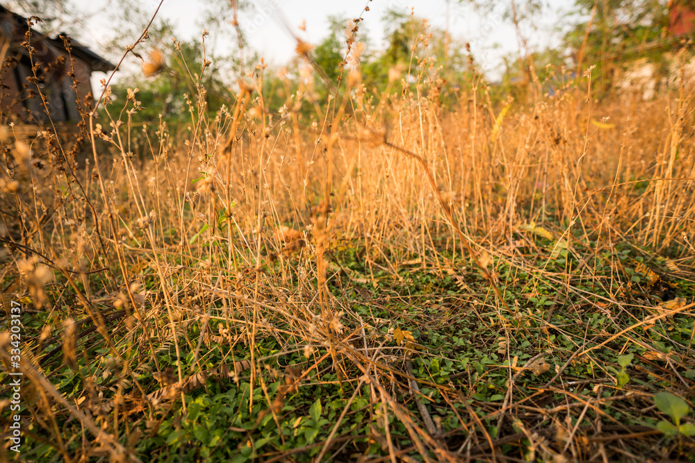 Fototapeta premium Summer and soil preparation for planting and after harvest