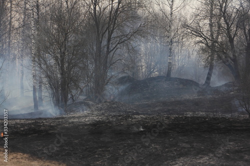 Burned forest, charred earth after the fire against the background of smoke and bare trees destruction landscape