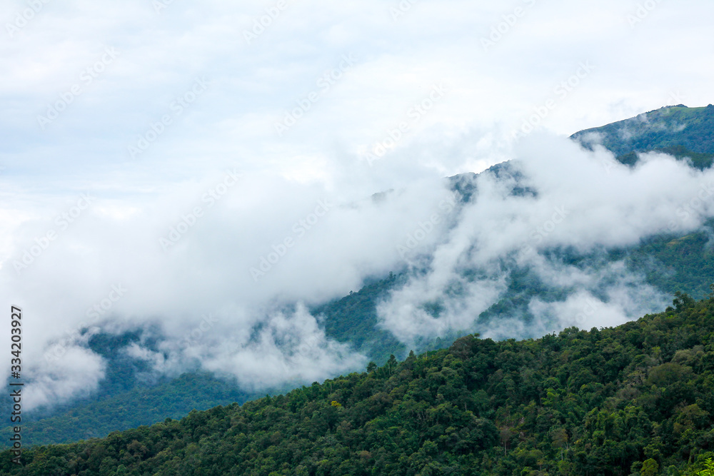High mountains with dense trees. Is a fertile mountain See the level of white clouds and the sky as the background High mountains with dense trees. Is a fertile mountain See the level of white clouds and the sky as the background