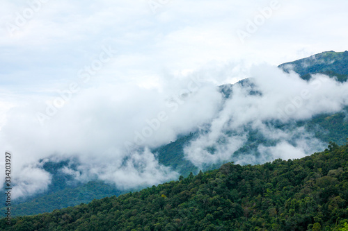 High mountains with dense trees. Is a fertile mountain See the level of white clouds and the sky as the background