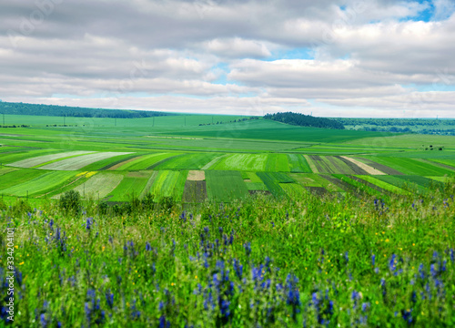 Panoramic view of agricultural land, fields and gardens, patch of land Ternop...