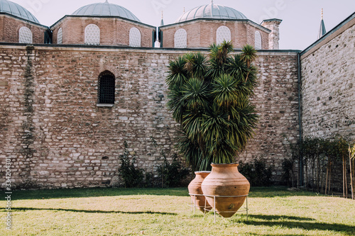 Topkapi Palace,Istanbul,Turkey.Brick red wall background.Plant in  vase.Palm near palace.Place for text.Nobody.Museums in Turkey.Antique creator.Luxury background.Green grass, park.Turkish wealth.