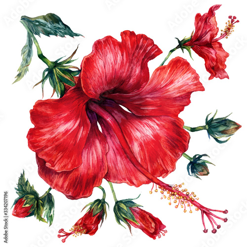 Watercolor Collection of Red Hibiscus Elements