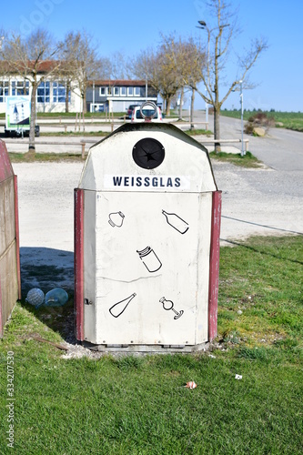 Violette Pinke Blumen im Garten