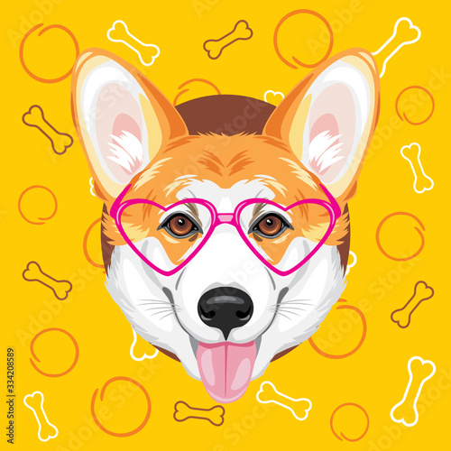 Happy welsh corgi on a yellow background with circles and bones