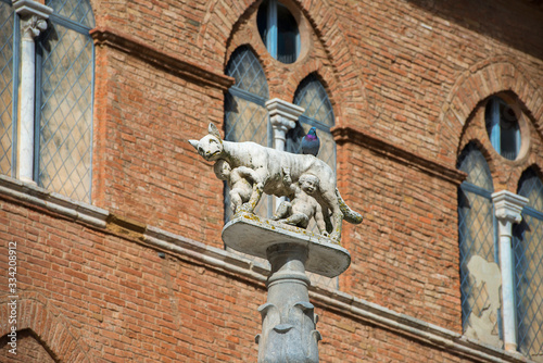 Lupa Senese (she-wolf of Siena) with Senio and Ascanio, sons of Remo, founders of the city, symbol of the city of Siena photo