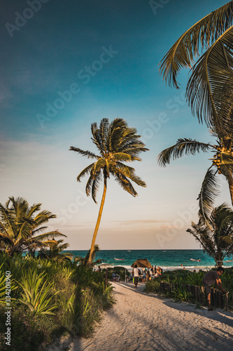 Sunset view in Tulum at tropical coast. Palm tree and beach in Quintana Roo, Mexico. photo